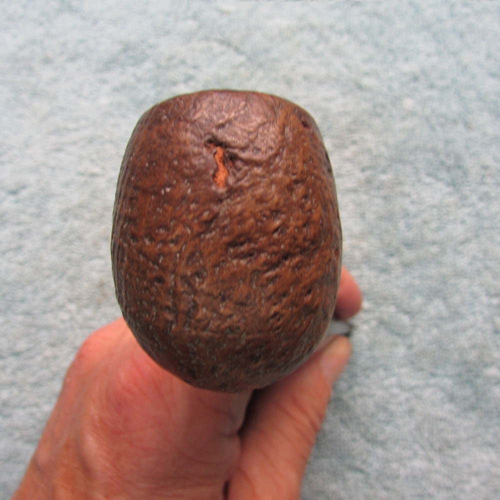 Smoking Pipe: Ehrlich Algerian Briar