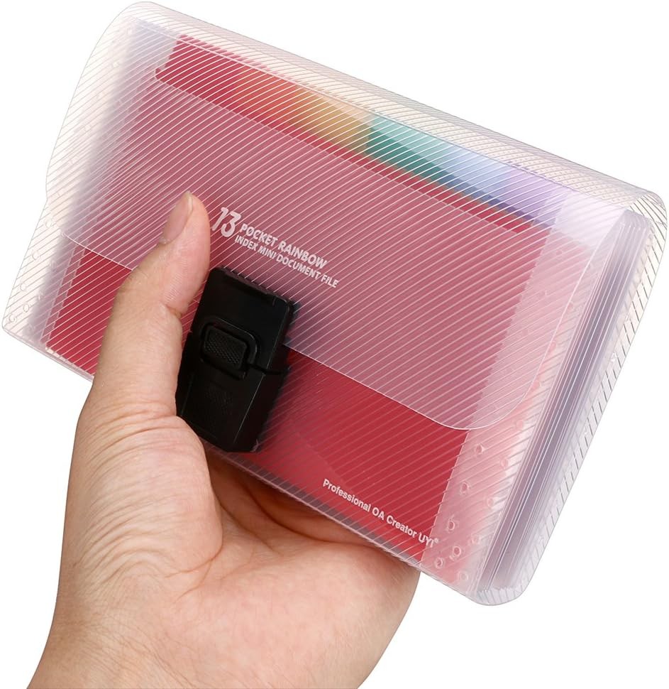 BTSKY 13 Pocket Accordian File Organizer- Plastic Wallet for Multicolor