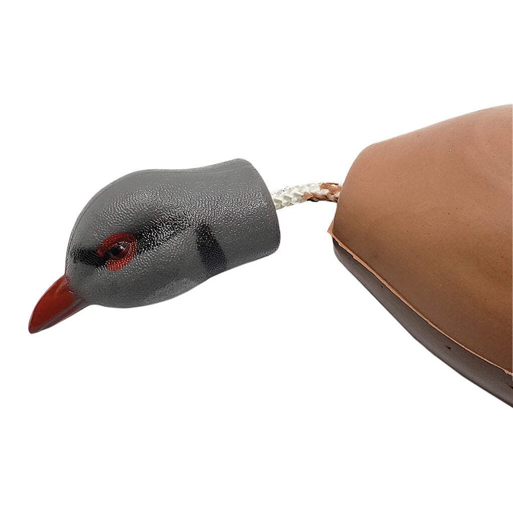 Dead Fowl Chukar