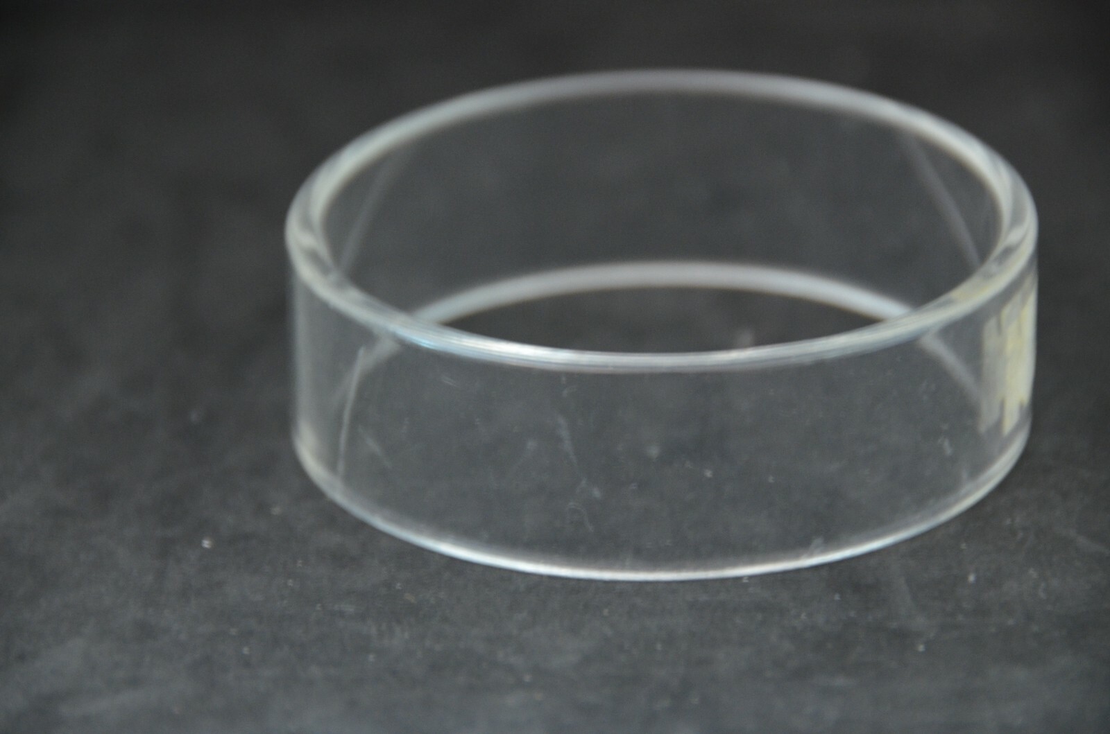 Acrylic Stands for Shells / Collectibles- Various types & sizes- Buy more save$$