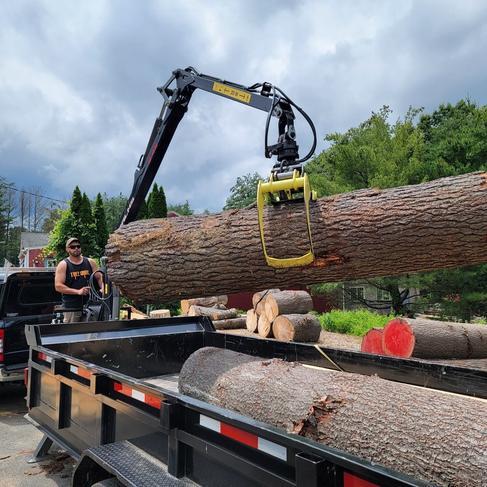 Palms Grapple Loader 2.42-Forestry Trailer Grapple crane