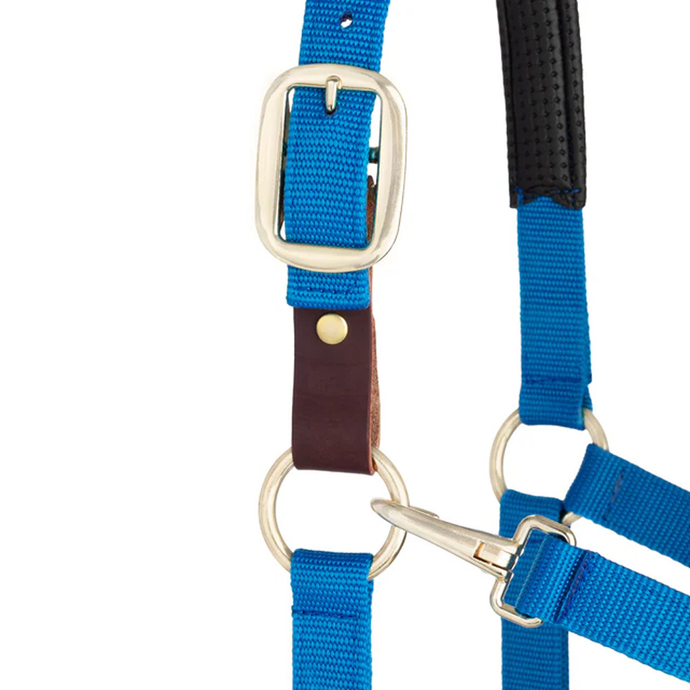 35-6075-BL Weaver Leather Padded Breakaway Adjustable Snap Halter - Solid Blue