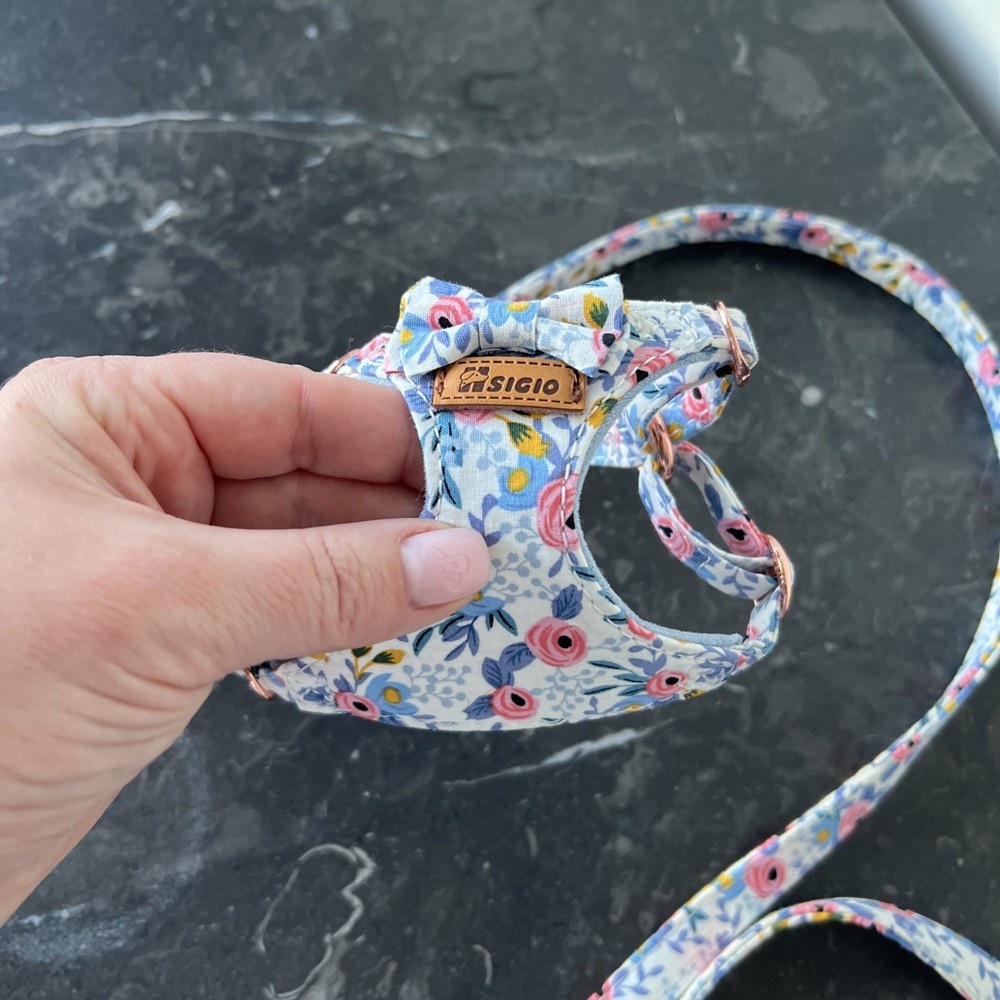 Tiny dog harness and leash set