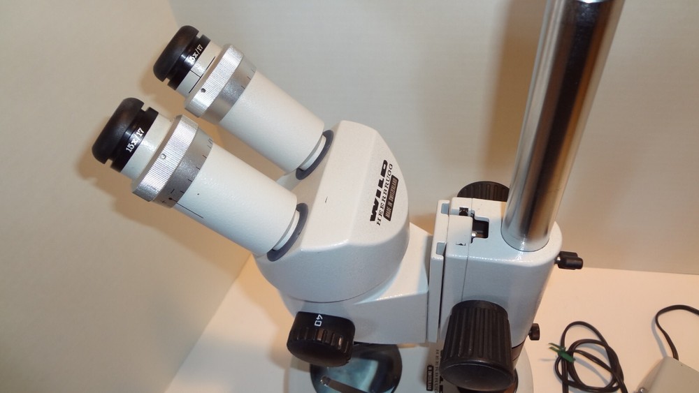 WILD LEICA M3 STEREOMICROSCOPE WITH TRANSMITTED LIGHT BASE **NICE**
