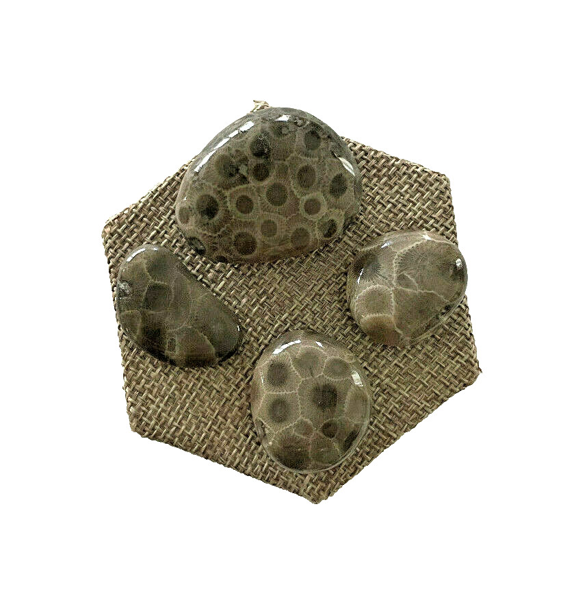 ***GREAT PRICE*** A SET OF 4 PETOSKEY STONES - BELOW RETAIL PLUS FREE SHIPPING!