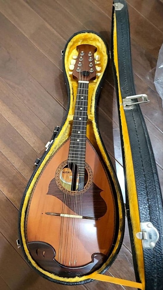 Suzuki Mandolin Violin Junk with some damage Case