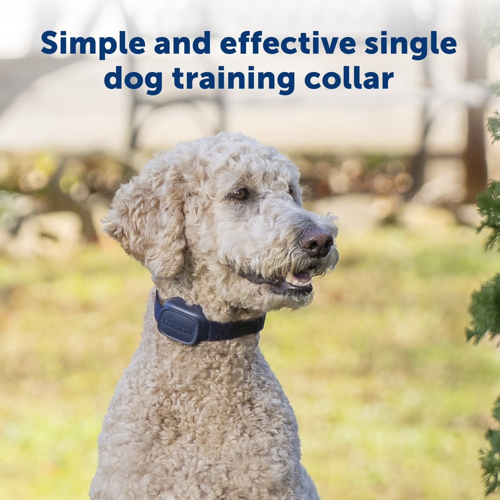 PetSafe Basic Dog Trainer with Remote – 300 ft Range – Tone