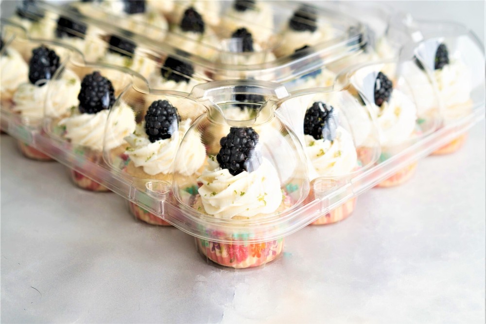 CUPCAKE CONTAINERS STACKABLE 24 COMPARTMENT -10 PACK CUPCAKE BOX CARRIER HOLDER