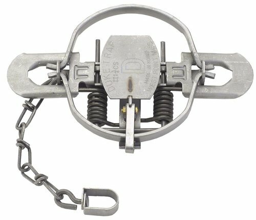 4 New Duke # 1 3/4 Coil Spring Traps 0475 Raccoon Coyote Bobcat Fox Trapping