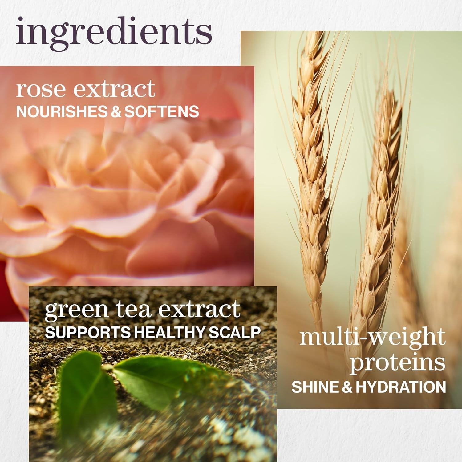 PUREOLOGY HYDRATE SHAMPOO/CONDITIONER COMBO! BRAND NEW! FRESH! SHIPS FREE!