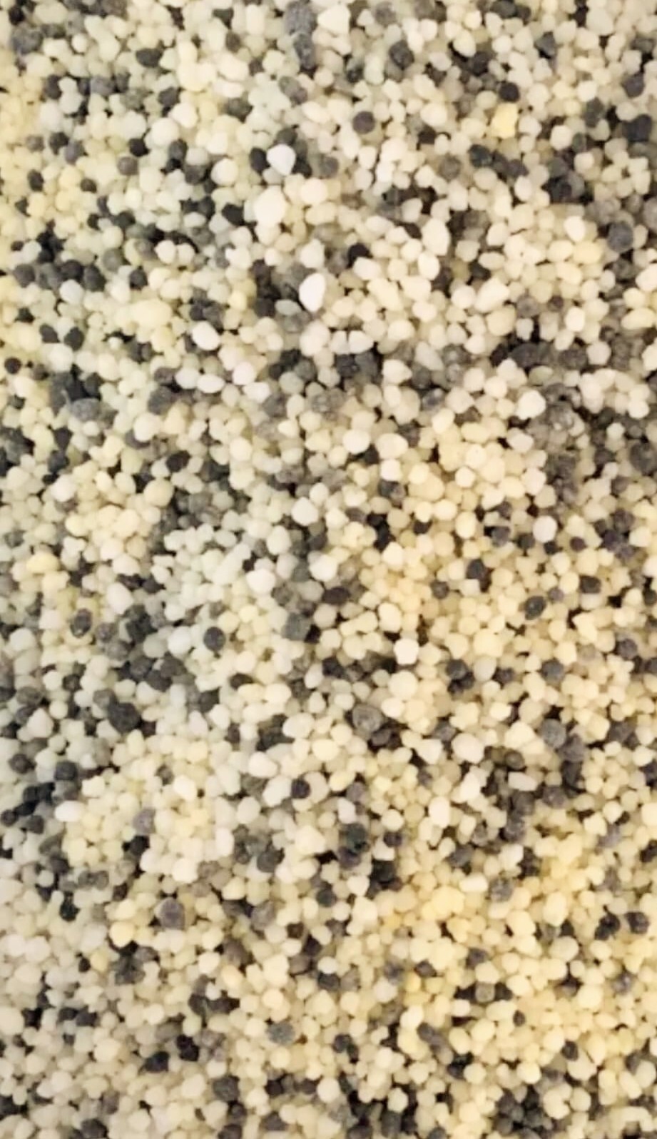 🔥10 Lbs Zip Bag BEST NITRA KING 21-2-4 ALL SEASON LAWN Professional Fertilizer