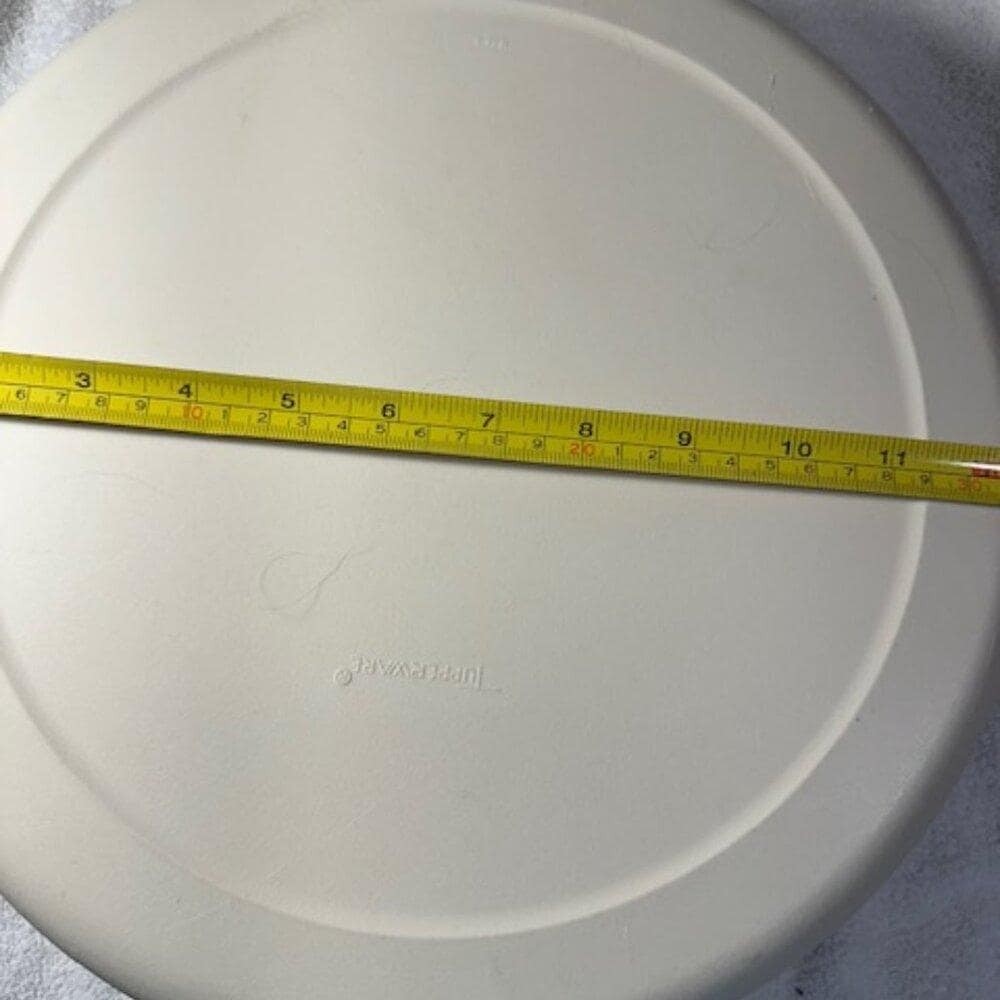 Vintage TUPPERWARE Divided serving tray w/ Cover Veggie Dips Chips etc