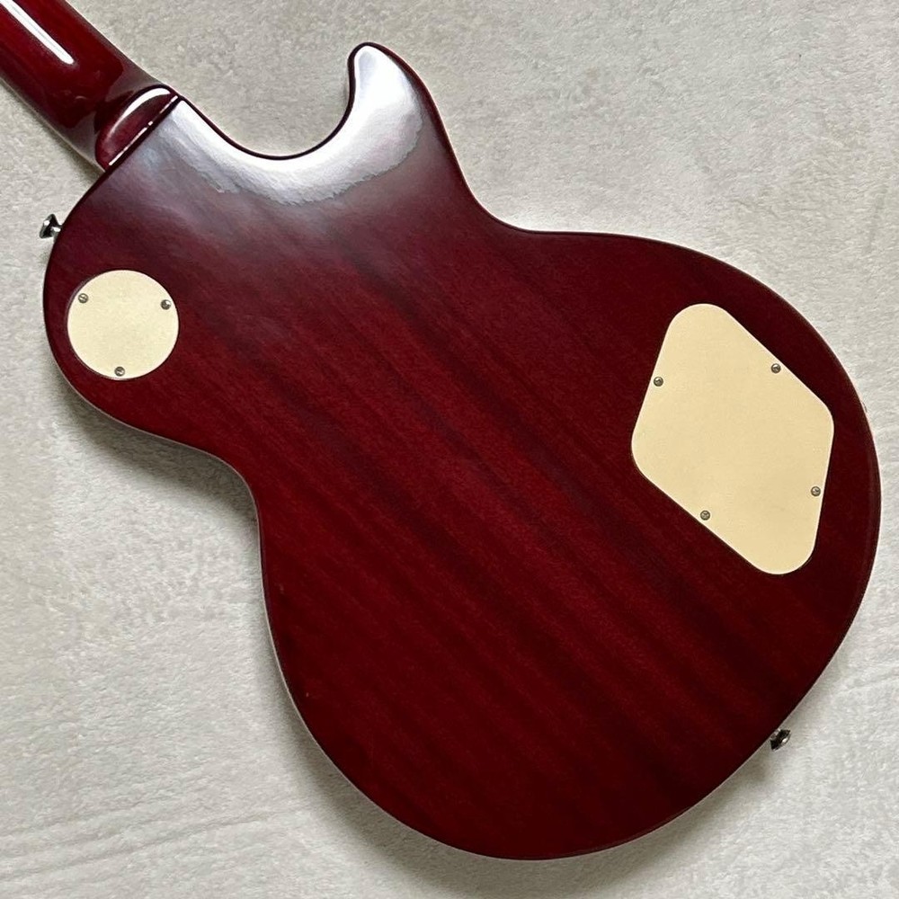 Epiphone Les Paul STANDARD PRO Lefty Safe Packing!