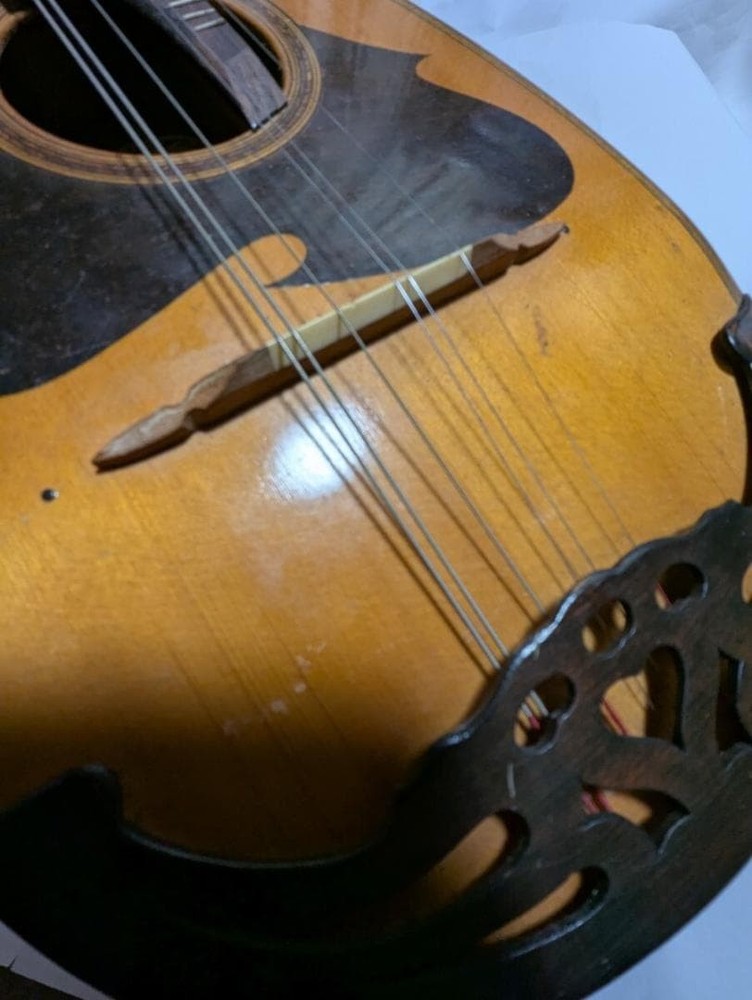 [] ◇ SUZUKI Mandolin Junk Used /248