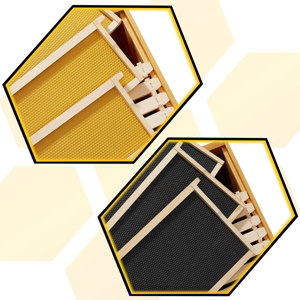 Langstroth Beehive 10 Wooden Frame Box Kit with Waxed Boxes, 2 Deep and 1 Medium