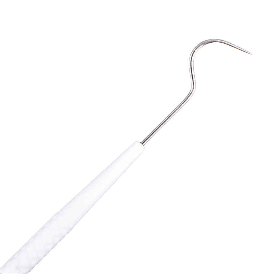 10 Pcs Dental Teeth Explorer Double End Instrument Probe Hook Basic Instruments