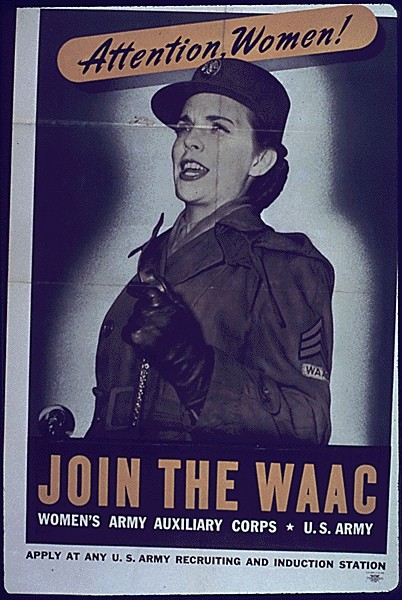 HUGE WORLD WAR II Poster CD (WWII) **