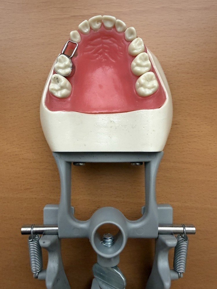 Columbia Dental Dentoform Model 760