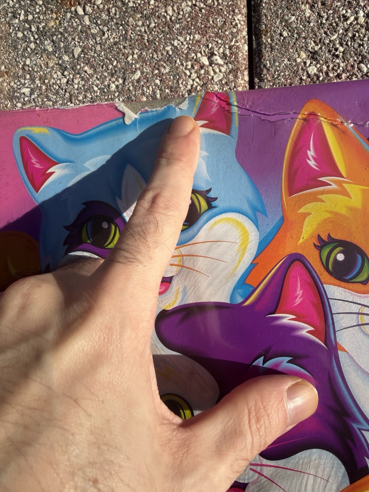 Vintage Lisa Frank Trapper Binder Cats Rare