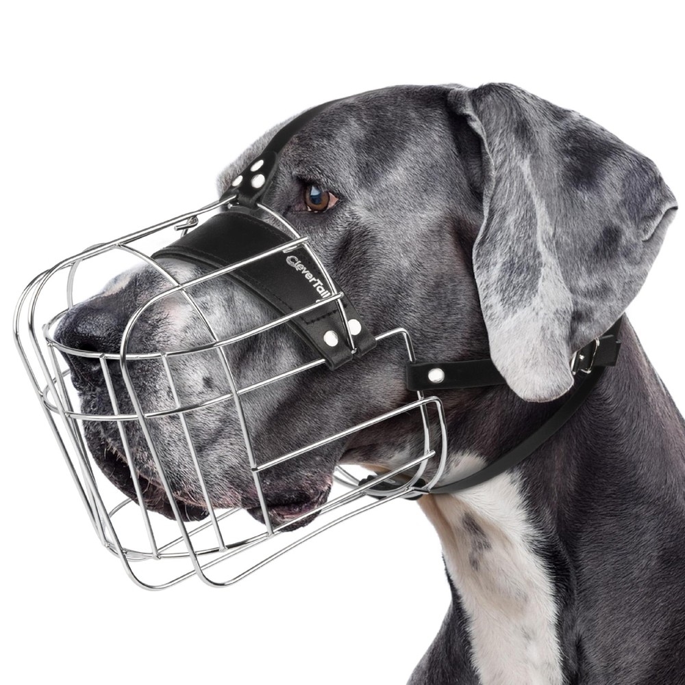 CleverTail Extra Large Dog Muzzle for Great Dane – Cage Muzzles for Barking a...