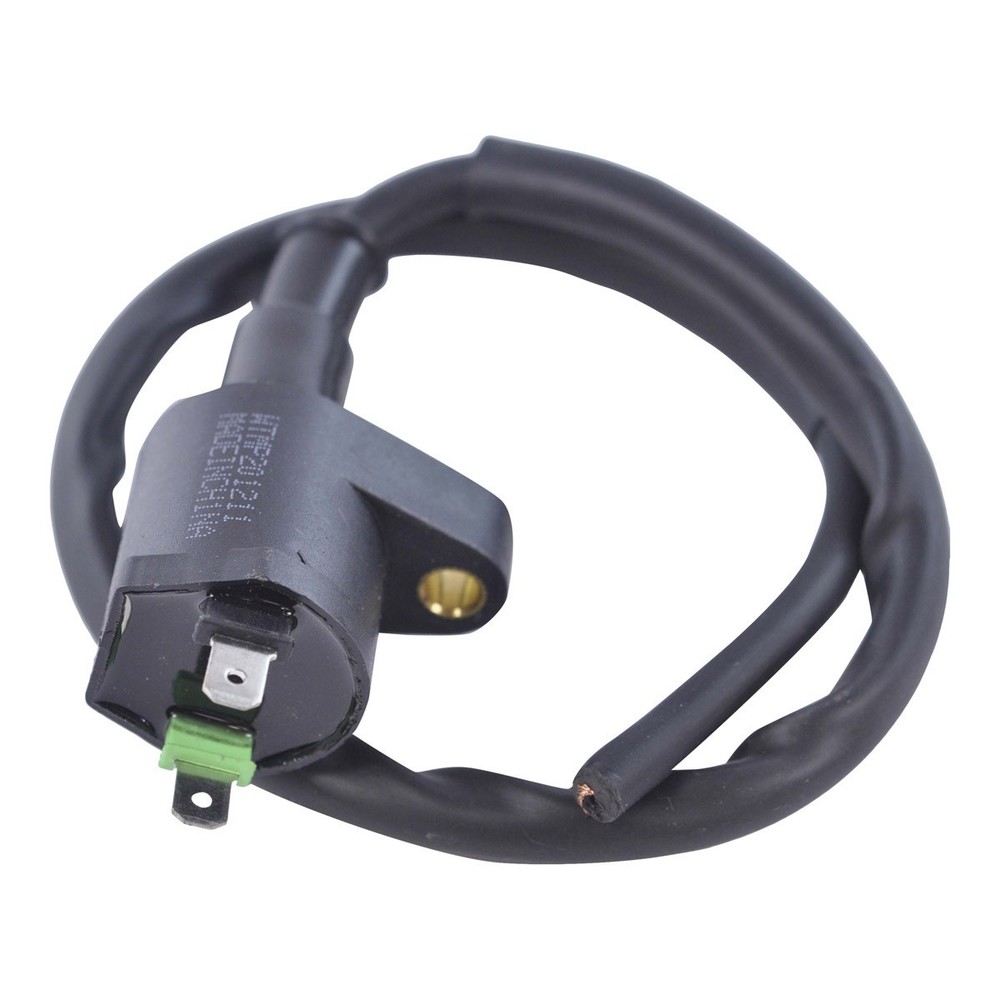 RM STATOR External Ignition Coil RM06025
