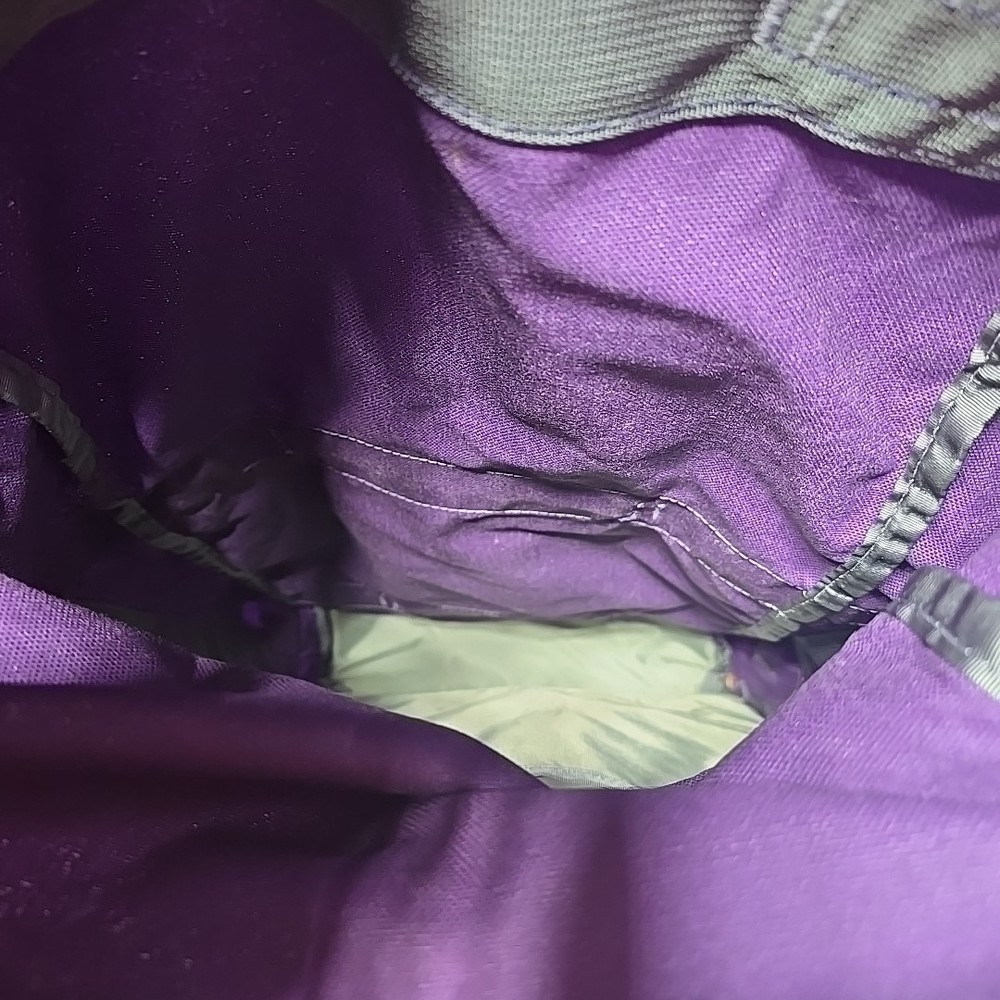 Backpack by Evolved Motion Purple Bag