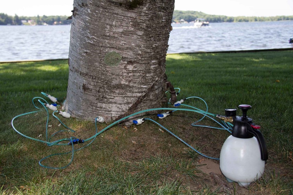 Arborists Tree Injector Tree Defend 2-liter kit w/Brass Valves