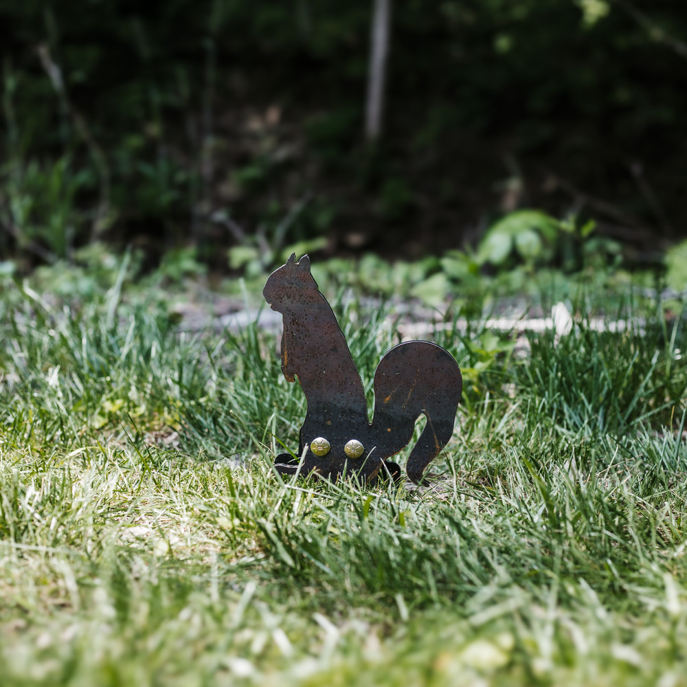 Rimfire Squirrel Ground Stake Popper Target