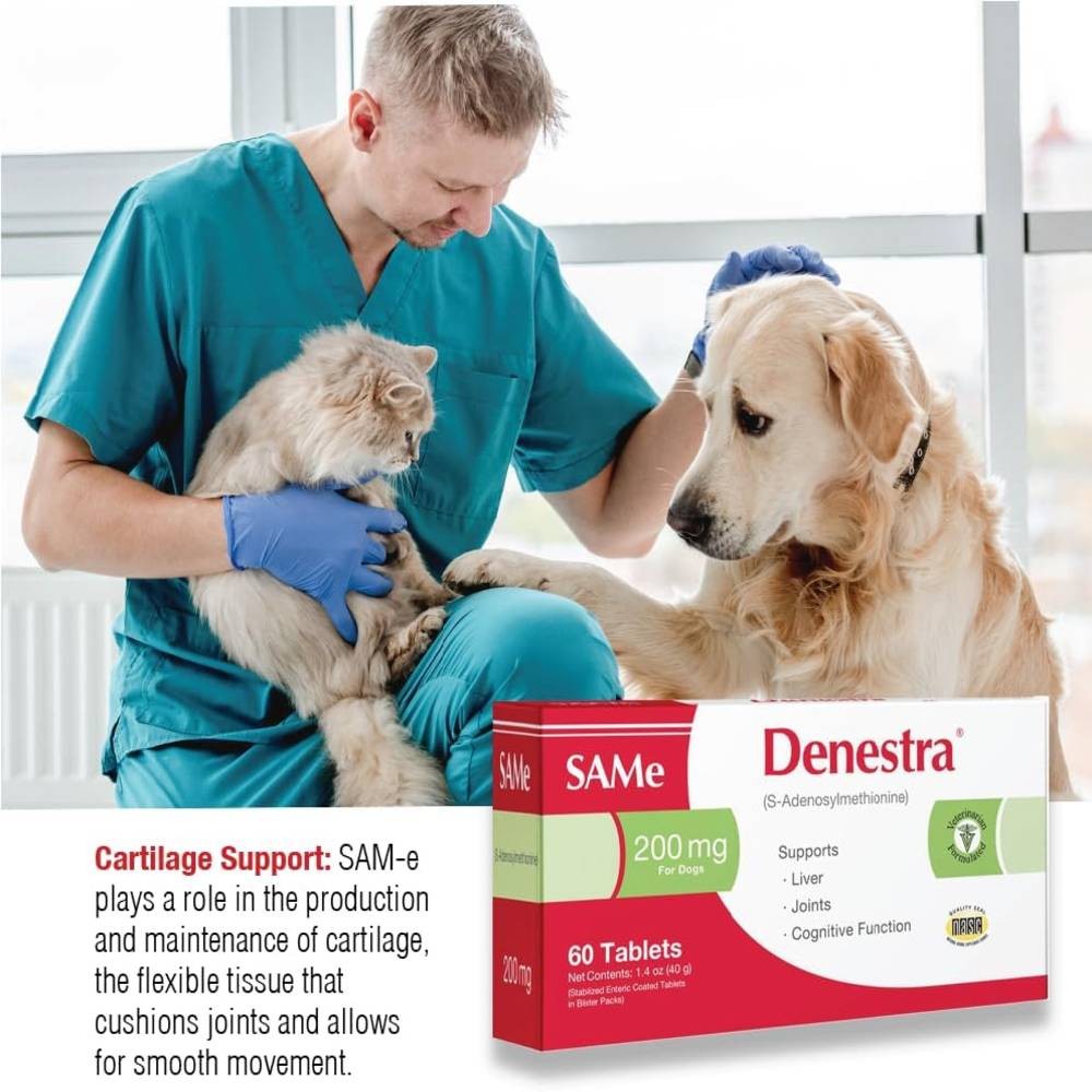 Denestra SAMe 200 mg (60 Tablets)