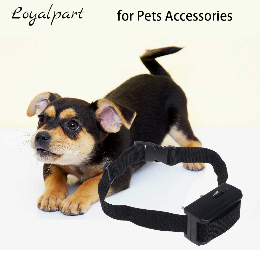 No Barking Automatic Shock Control Collar For Small Medium Large Dog Anti Bark