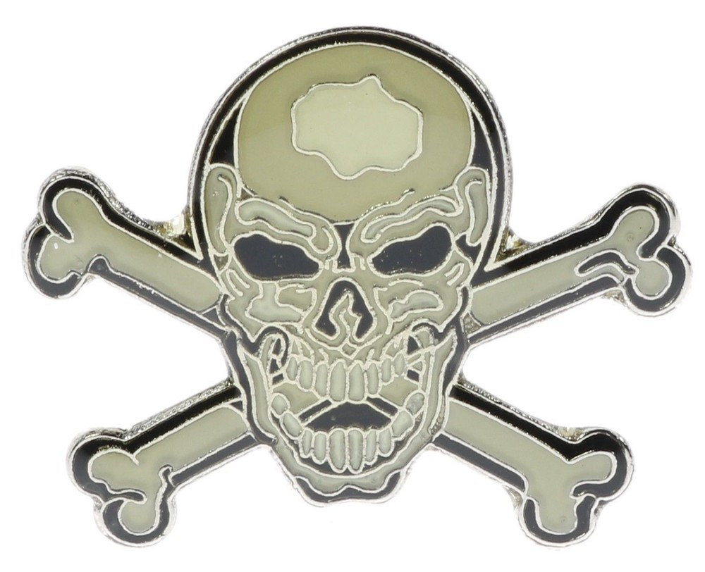 Skull Cross Bones Statement Hat Or Lapel Pin NOV343 F6D14H