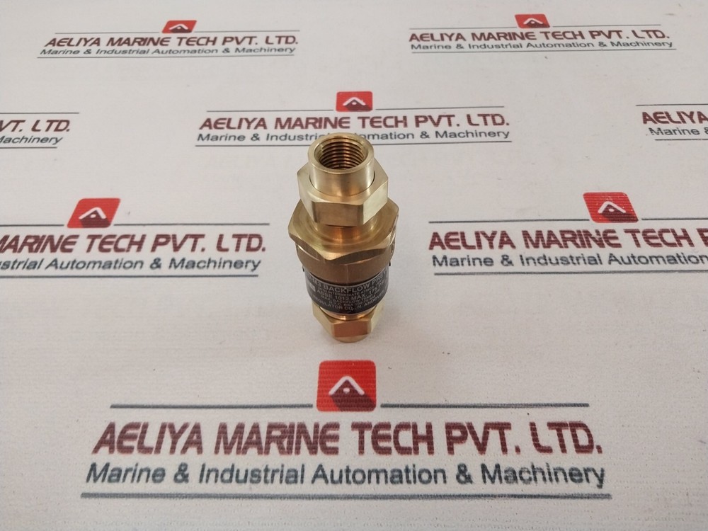 Watts 1/2 Inch 9D-M3 Dual Check Valve Backflow