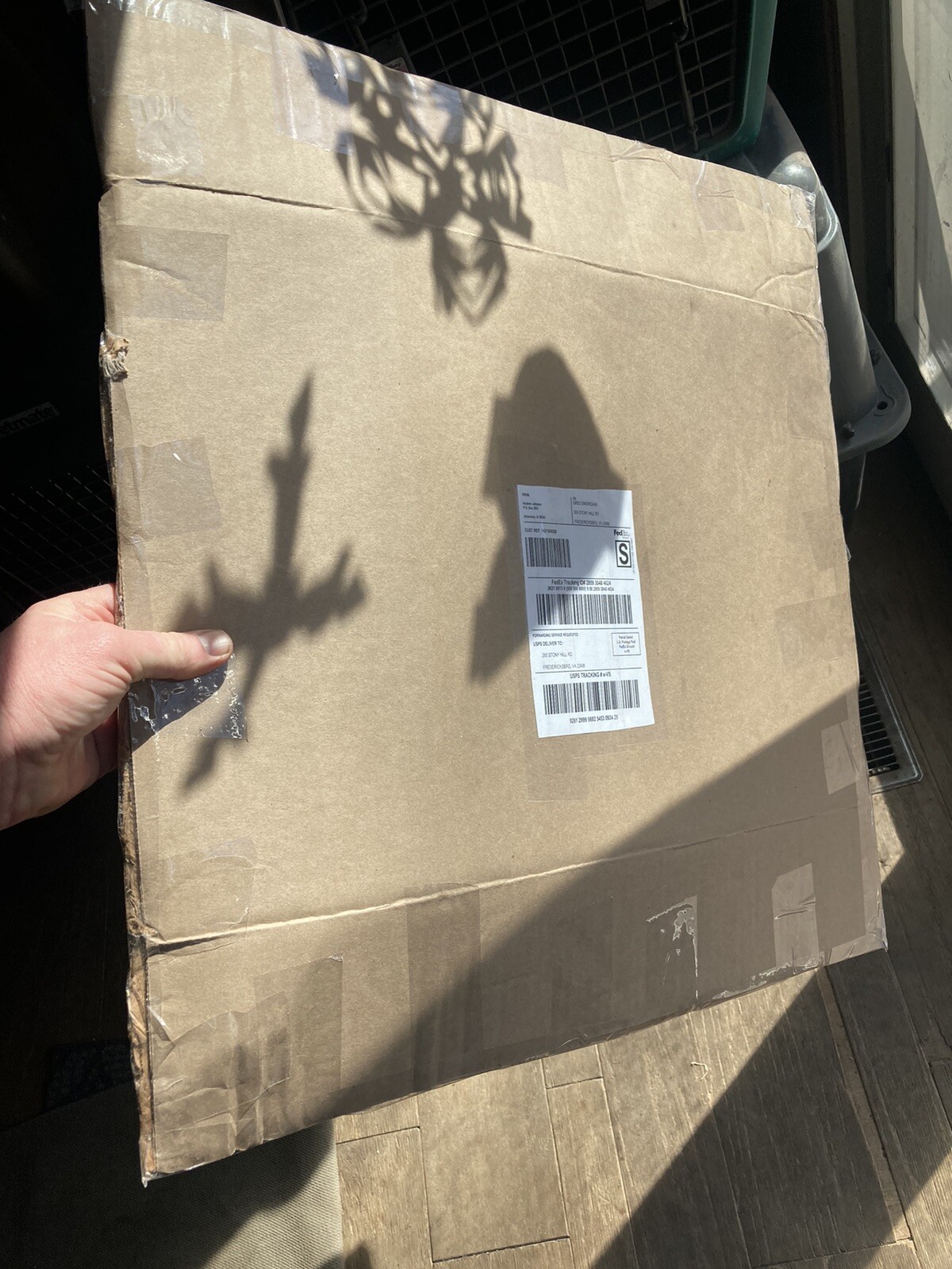 Rooster RINGNECK PHEASANT Full SKIN 2 Wings Tail Feathers Wall Art Man Cave