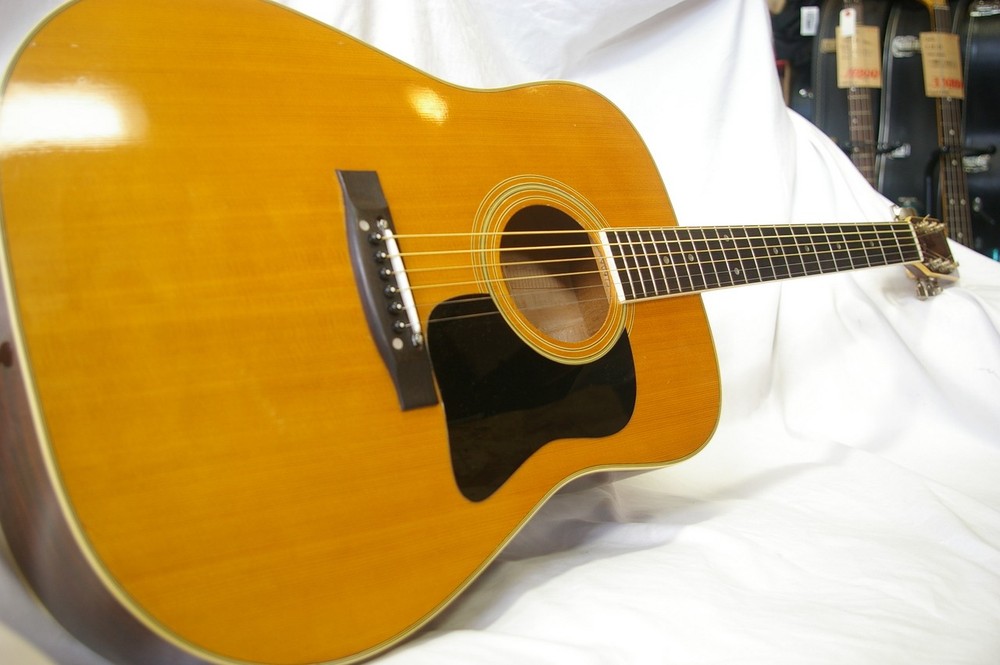Favilla Guitars Aquila