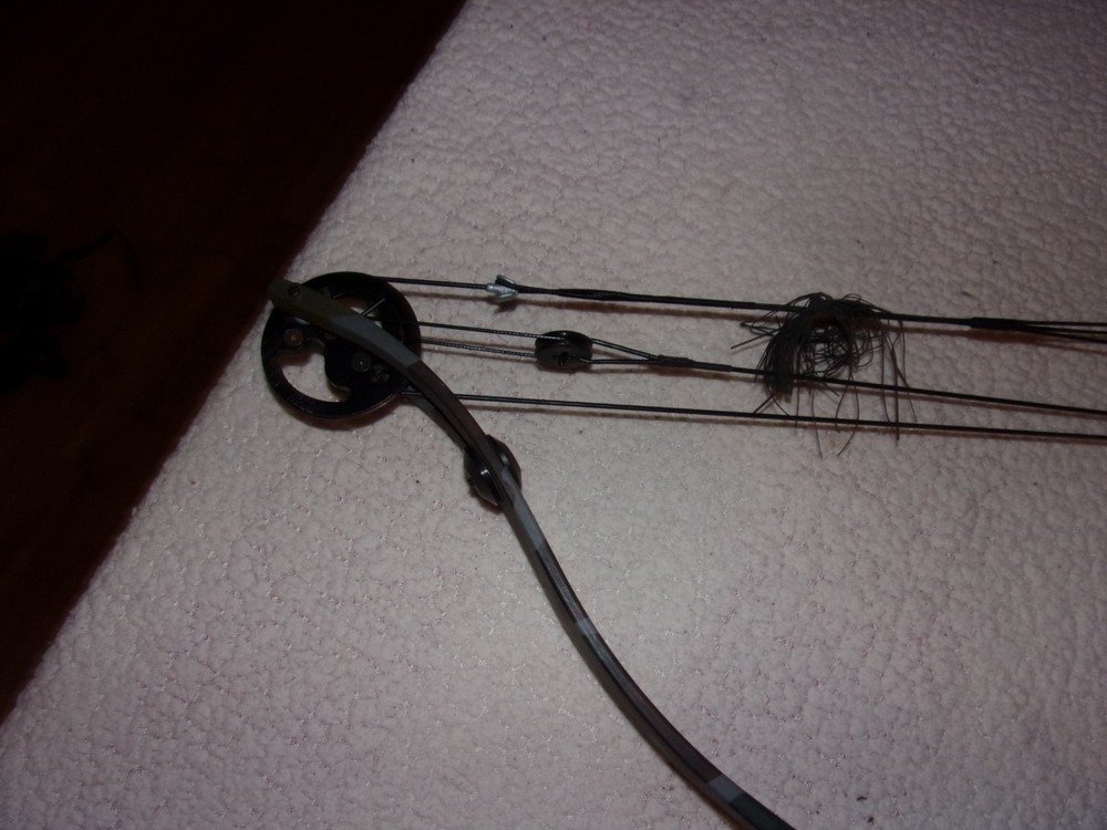 Golden Eagle Super Hawk Compound Bow