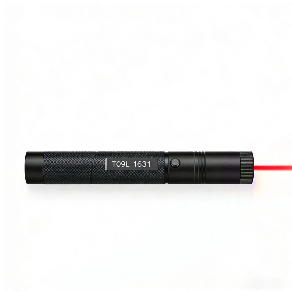 Portable Light Laser Pointer Rechargeable Flashlight Cat Toy Adjustable FocusRed