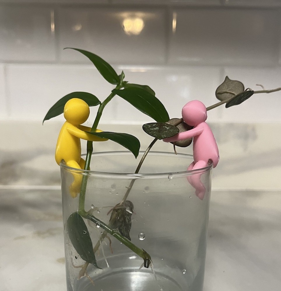 Propagation Buddy 3 Pack | Plant Cutting Stabilizer | Increase Root Growth