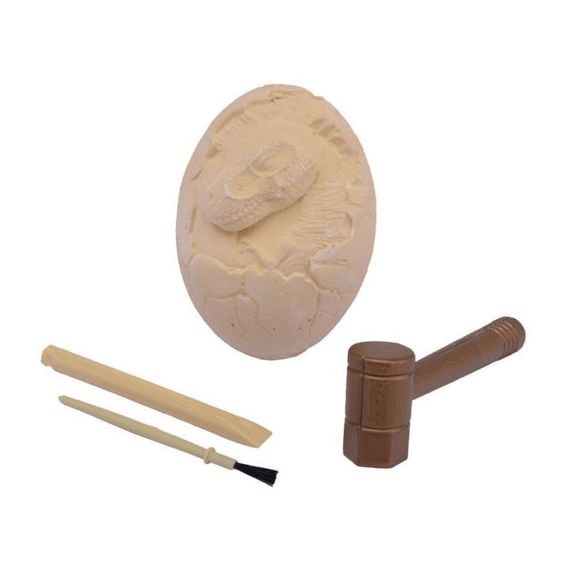 Johntoy Hak Eierfossil