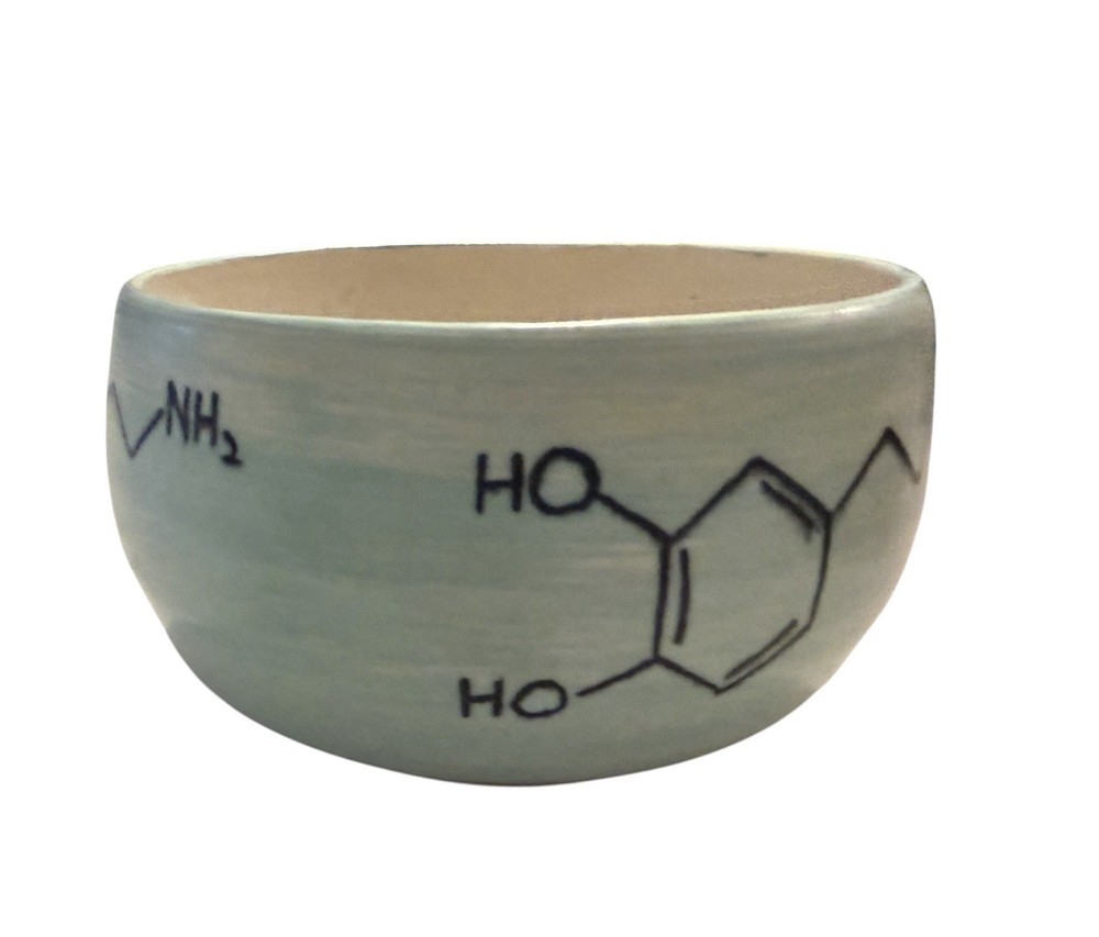 Studio Art Pottery Handmade Stoneware Ceramic Bowl Science Molecule Signed