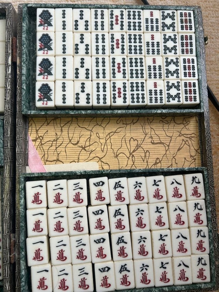 Mahjong tile set with crocodile pattern case