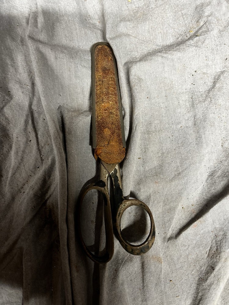 Vintage Scissors With Leather Sheath Buckeye