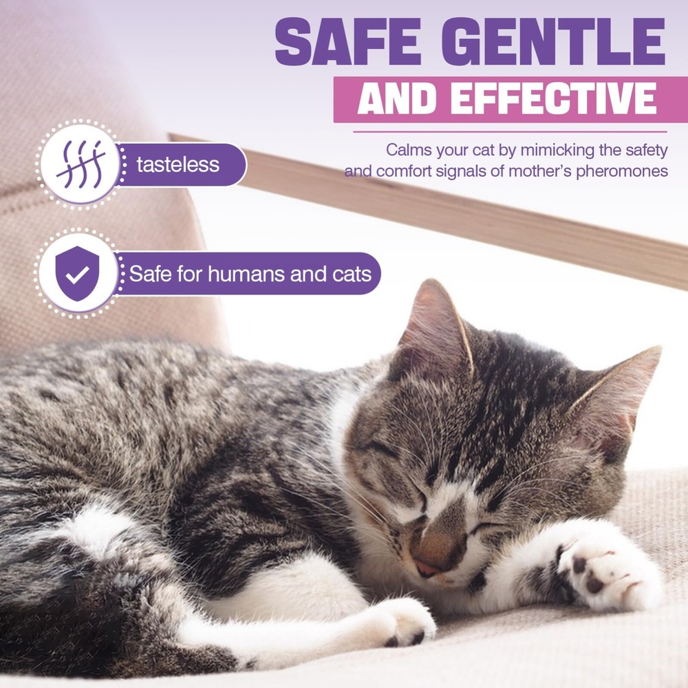 Cat Pheromones Calming Diffuser Refill 6 Pack Multicat Pheromone Diffusers Refil
