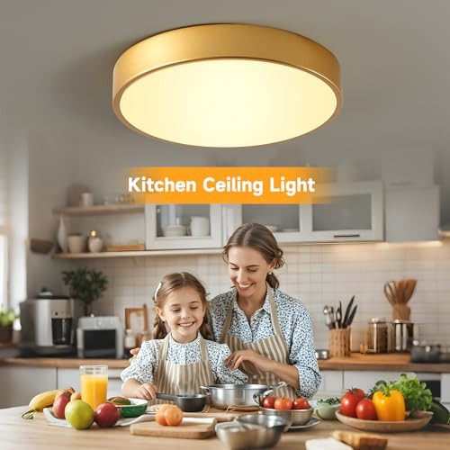 Flush Mount Ceiling Light 12 Inch LED Dimmable Ceiling Light 24W 12inch Gold