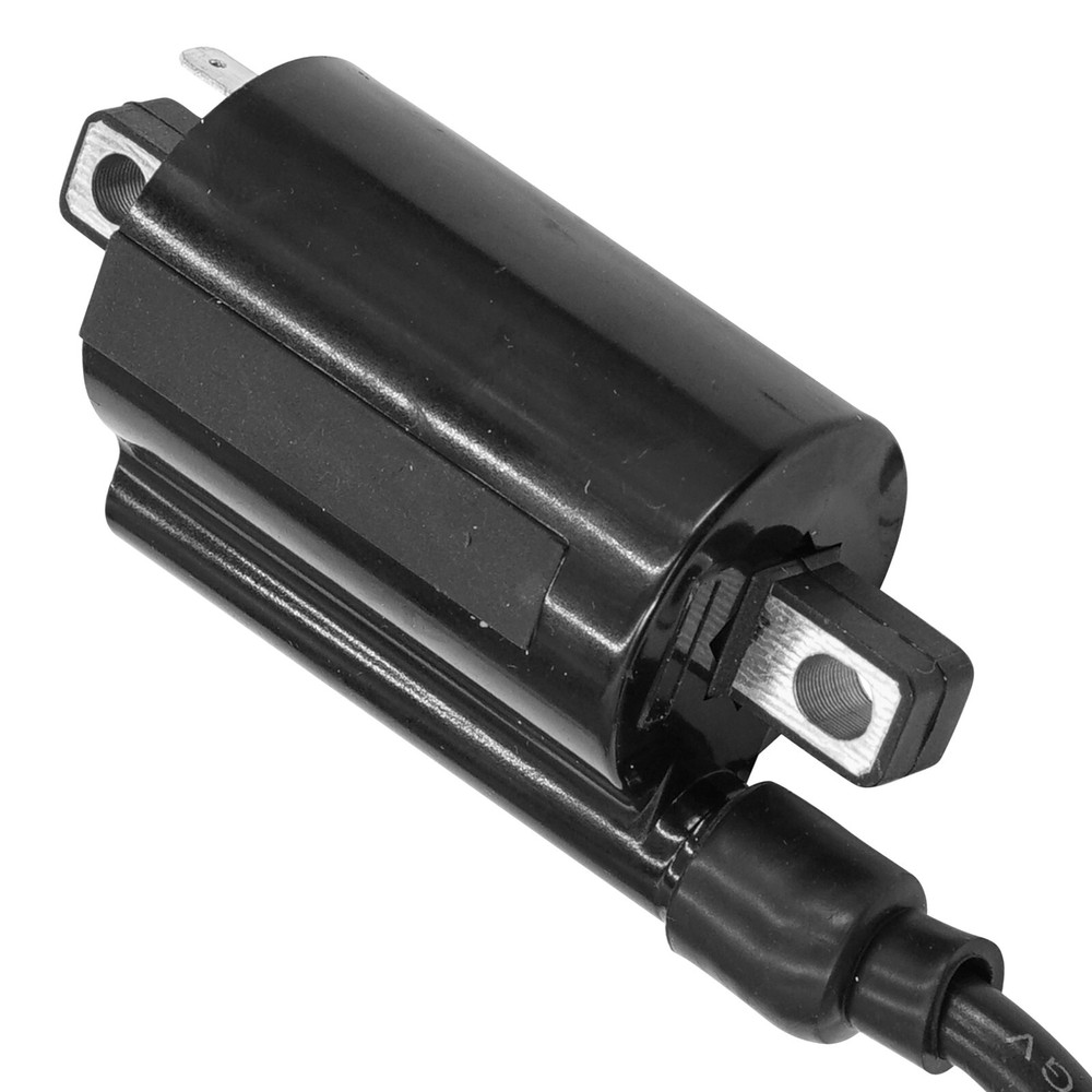 Ignition Coil for Arctic Cat 250 Dvx 2006 2007 2008
