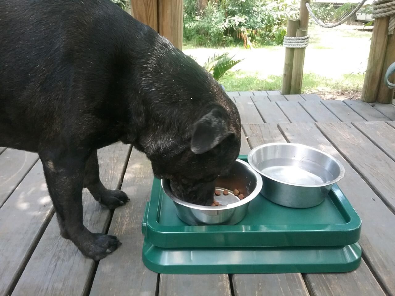 Ant Blocker Ant Proof Pet Food Tray