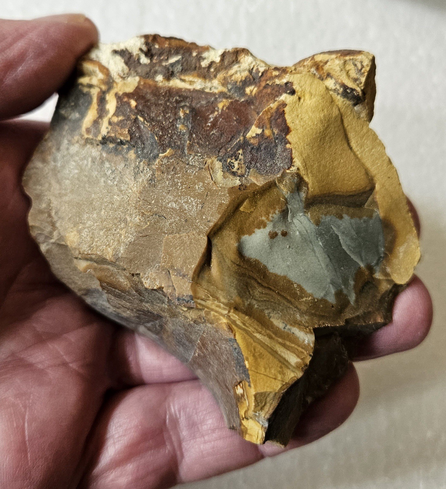 3+ Pounds Old Stock Owyhee Picture Jasper