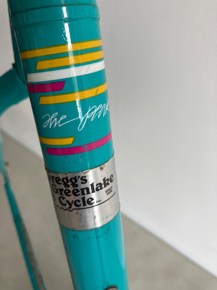 Raleigh Technium Bicycle Frameset With Rear Brake
