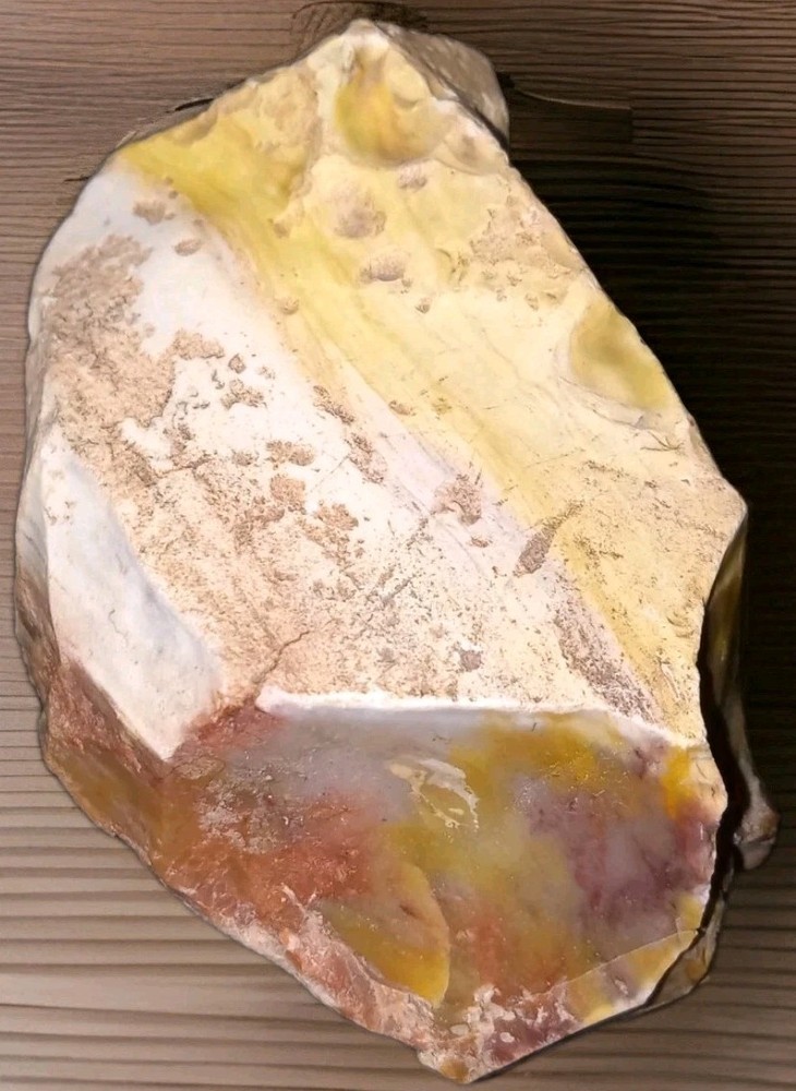 Petrified Rainbow Wood Opalized Specimen Rough