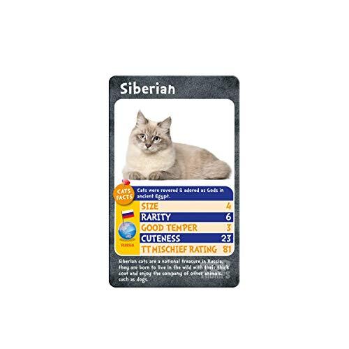 Cats and Kittens Card Game