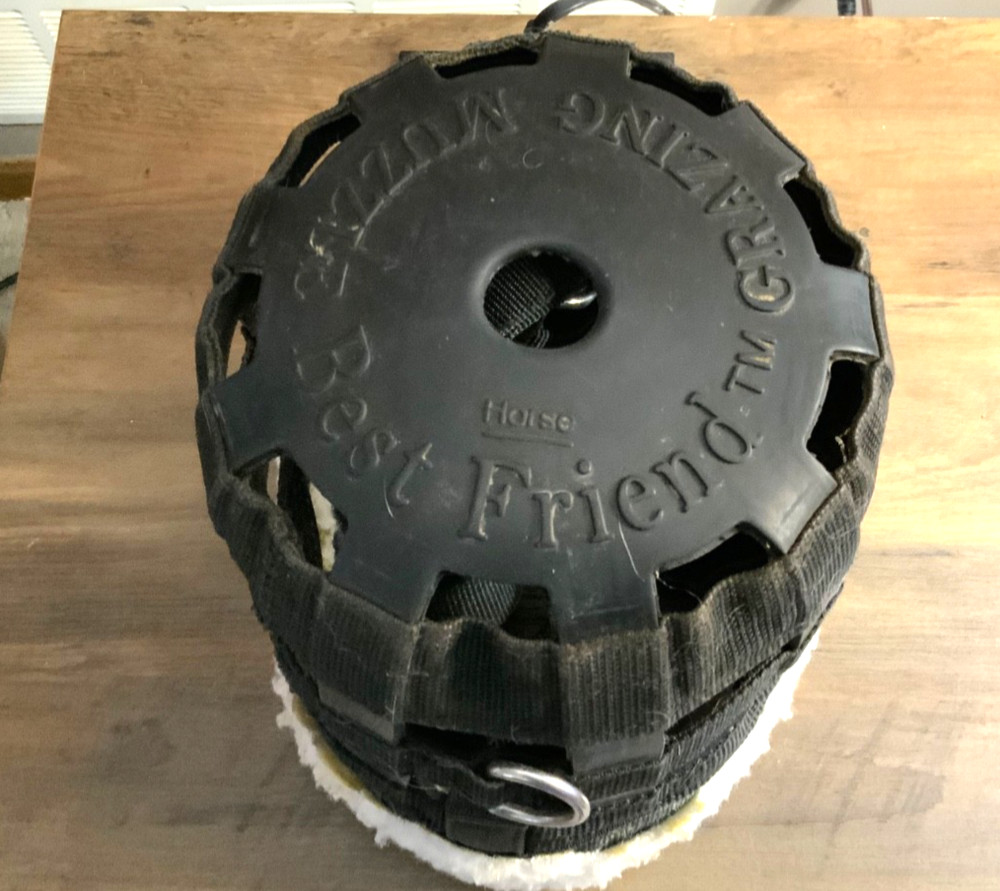 horse gear- grazing muzzle
